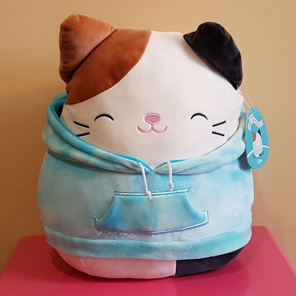 Squishmallows Other - NWT CAM w/ HOODIE 12” Cat Squishmallow
